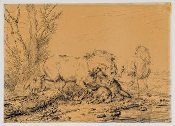 Zwei Pferde, von Wölfen angefallen