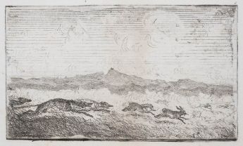 Jagd auf Hasen in einer Heide am Rhein