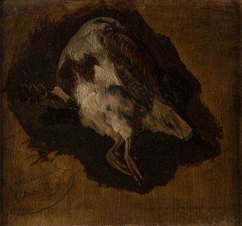 Abgeschossener Vogel