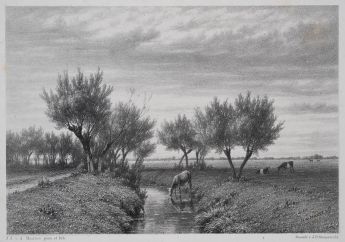 Polderlandschaft mit Kühen