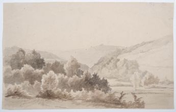 Wald am Rande eines Flusses