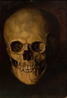 Studie eines Schädels