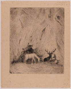 Hirschen im Böhmerwald