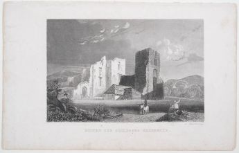 Ruinen des Schlosses Brederode