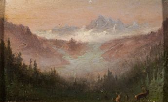 Hirsche im Hochgebirge