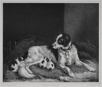 Hündin mit Welpen