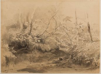 Oorsprong bei Oosterbeek (Gelderland)