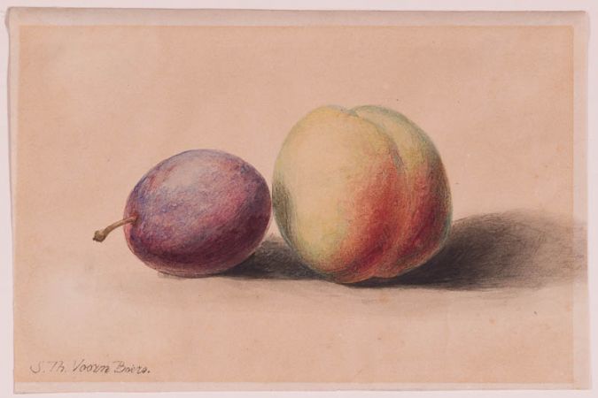 Stillleben mit Pfirsich und Pflaume