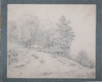 Weg mit Baumgruppe auf Hügelabhang