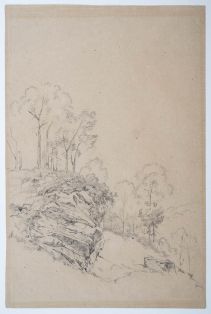 Abhang mit Bäumen und Felsen