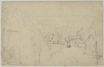 Wald mit Dorf im Tal