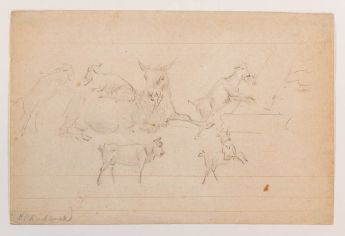 Studienblatt mit Ziegen und Kühen