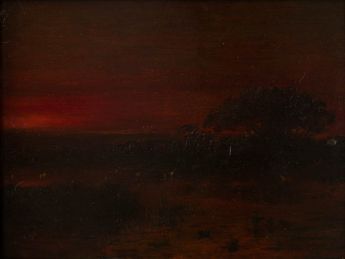 Enten in einem Wasser nach Sonnenuntergang