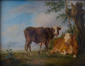 zwei Stiere an Wasser unter Kopfweide