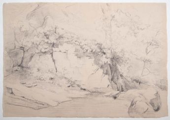 Felsenabhang mit Bäumen und Bach