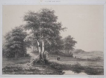 Landschaft mit Baumgruppen 