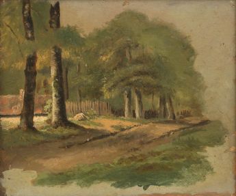 Bäume an einem Landweg