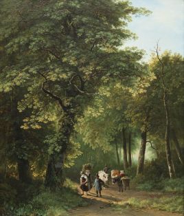 Waldlandschaft im Sommer