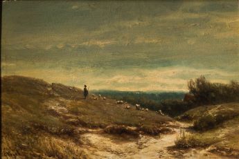 Hügelige Heidelandschaft