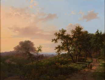 bewaldete Hügellandschaft